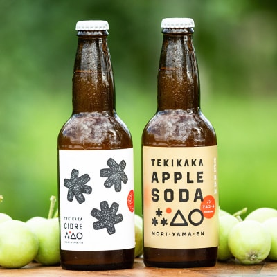 テキカカシードル & アップルソーダ 各330ml×3本 計6本|24_mye-110601