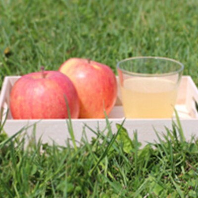 青森県産 ストレートりんごジュース 1000ml×6本|24_pwm-010601