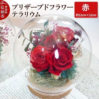 プリザーブドフラワー テラリウム【赤】約12cm×約12cm 1個|24_sra-010101