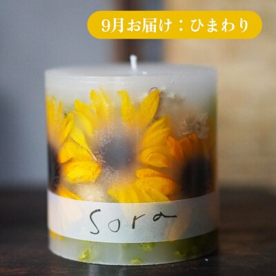 《定期便全4回》配送月固定 ボタニカル キャンドル  全4個|24_sra-070104