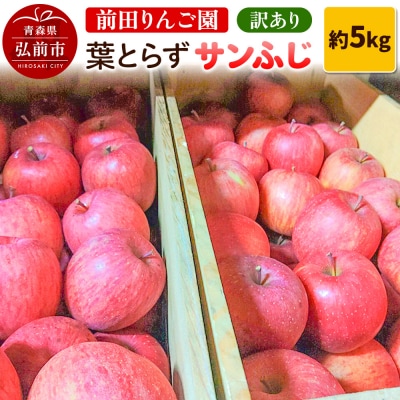 りんご 訳あり 葉とらず サンふじ 約 5kg (16～20玉程度) |24_mre-040501