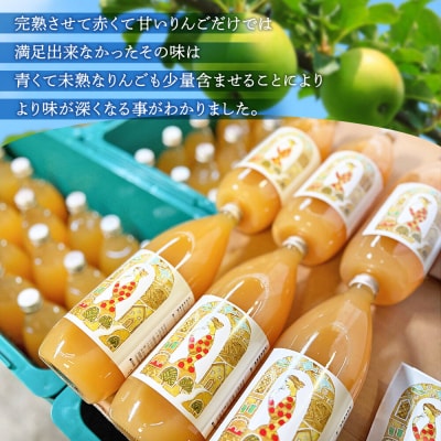 りんごジュース 1L × 6本 ストレート 保存料・着色料無添加|24_ace-060601