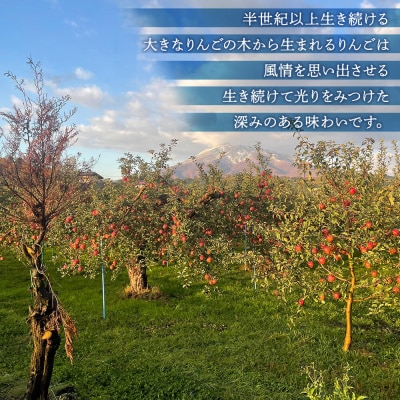 りんごジュース 1L × 6本 ストレート 保存料・着色料無添加|24_ace-060601