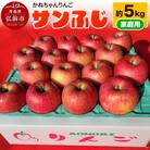【りんご】かねちゃんりんご 家庭用 サンふじ 約 5kg|24_kcr-020501