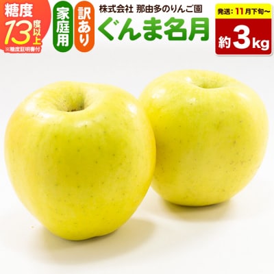 りんご ぐんま名月【訳あり】約3kg 先行受付|24_ntr-010301