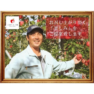りんご【訳あり】ぐんま名月 約3kg 糖度13度以上(糖度証明書付)|24_ntr-010301