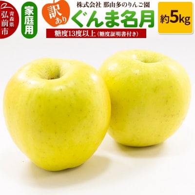 りんご【訳あり】ぐんま名月 約5kg 糖度13度以上(糖度証明書付)|24_ntr-010501