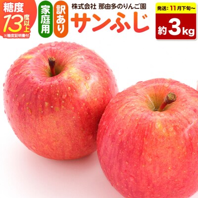りんご サンふじ【訳あり】約3kg 先行受付|24_ntr-020301