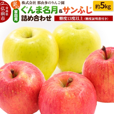 りんご【訳あり】ぐんま名月&サンふじ 約5kg 糖度13度以上|24_ntr-030501