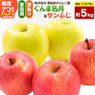 りんご ぐんま名月&サンふじ【訳あり】約5kg 先行受付|24_ntr-030501