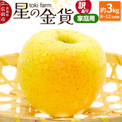 りんご【10月～11月クール便発送】星の金貨 約3kg 訳あり 家庭用|24_tkf-030301