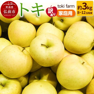 りんご【9月クール便発送】トキ 約3kg 訳あり 家庭用|24_tkf-080301