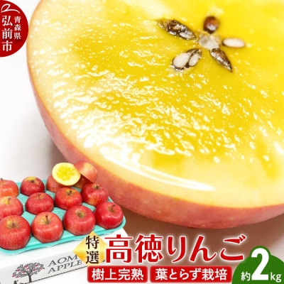 りんご 特選 高徳( こうとく )りんご 約2kg|24_srn-070201