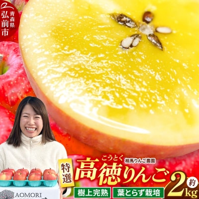【26年12月発送】りんご 高徳(こうとく)【特選】約2kg 先行受付|24_srn-070201