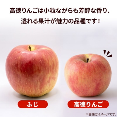 りんご 特選 高徳( こうとく )りんご 約2kg|24_srn-070201