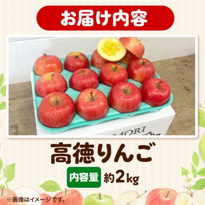 りんご 特選 高徳( こうとく )りんご 約2kg|24_srn-070201