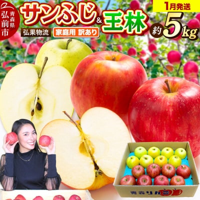 りんご サンふじ・王林 詰め合わせ 約5kg|24_hkb-060501b