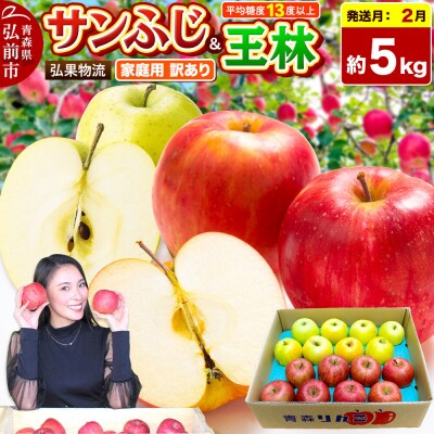 りんご サンふじ・王林 詰め合わせ 約5kg|24_hkb-060501c