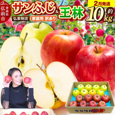 りんご 2月発送 サンふじ・王林 詰め合わせ 約10kg|24_hkb-061001c