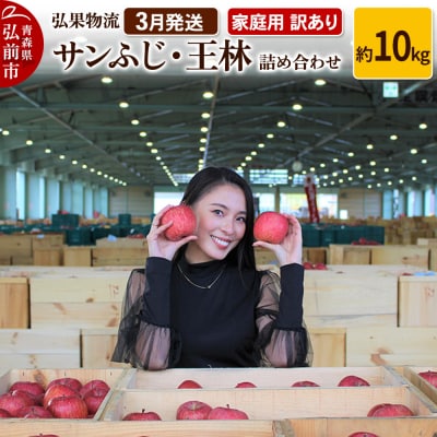 りんご 3月発送 サンふじ・王林 詰め合わせ 約10kg|24_hkb-061001d