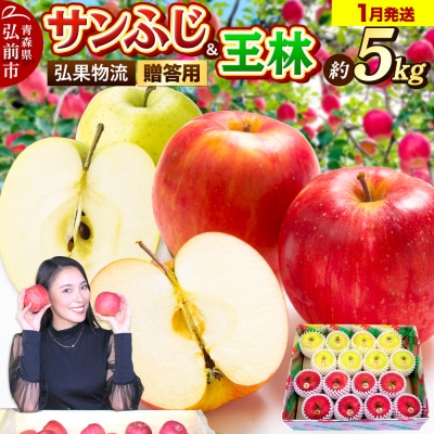 りんご 1月発送 サンふじ・王林 詰め合わせ 約5kg|24_hkb-070501b