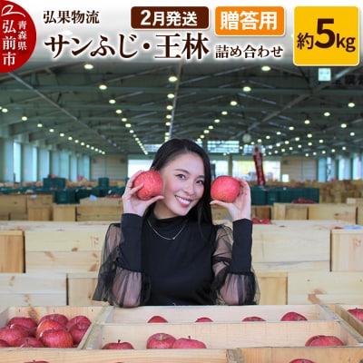 りんご 2月発送 サンふじ・王林 詰め合わせ 約5kg|24_hkb-070501c