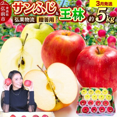 りんご 3月発送 サンふじ・王林 詰め合わせ 約5kg|24_hkb-070501d