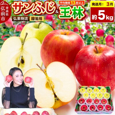 りんご サンふじ・王林 詰め合わせ【贈答用】約5kg|24_hkb-070501d