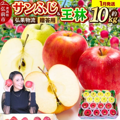りんご 1月発送 サンふじ・王林 詰め合わせ 約10kg|24_hkb-071001b