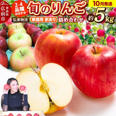 りんご 10月発送 家庭用 品種おまかせ 約5kg 2品種～4品種|24_hkb-110501a