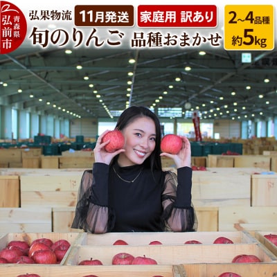 りんご 11月発送 家庭用 品種おまかせ 約5kg 2品種～4品種|24_hkb-110501b