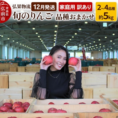 りんご 1月発送 家庭用 品種おまかせ 約5kg 2品種～4品種|24_hkb-110501c