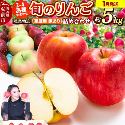 りんご 1月発送 家庭用 品種おまかせ 約5kg 2品種～4品種|24_hkb-110501d