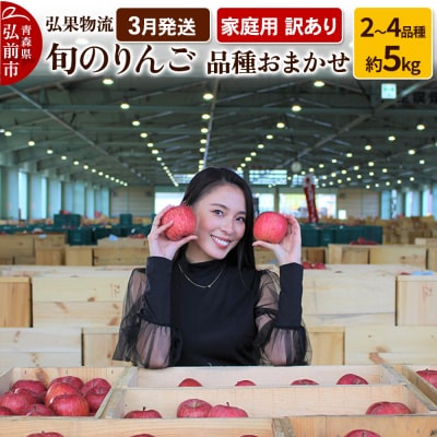 りんご 4月発送 家庭用 品種おまかせ 約5kg 2品種～4品種|24_hkb-110501f