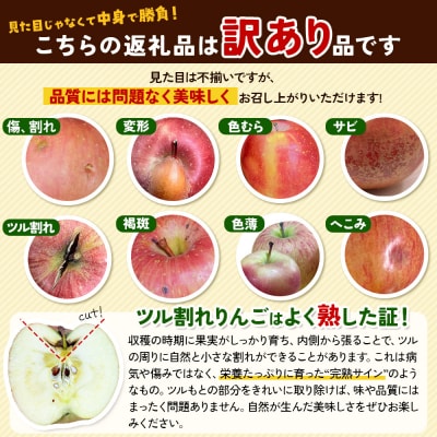 りんご 4月発送 家庭用 品種おまかせ 約5kg 2品種～4品種|24_hkb-110501f