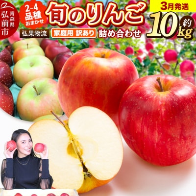 りんご 3月発送 家庭用 品種おまかせ 約10kg 2品種～4品種|24_hkb-111001f
