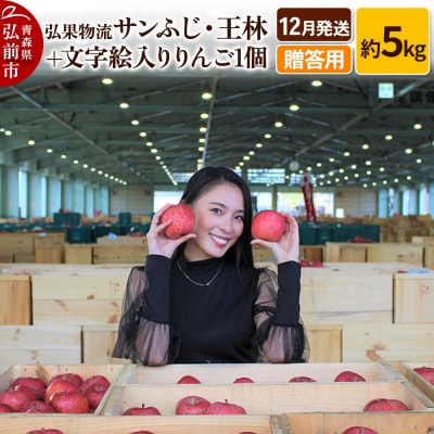 りんご 2月発送 サンふじ・王林 +文字絵入りりんご1個 約5kg|24_hkb-130501c