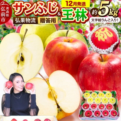 りんご サンふじ・王林 +文字絵入りりんご1個 約5kg|24_hkb-130501c