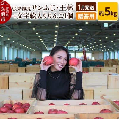 りんご 3月発送 サンふじ・王林 +文字絵入りりんご1個 約5kg|24_hkb-130501d