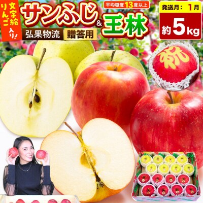 りんご サンふじ・王林 +文字絵入りりんご1個 約5kg|24_hkb-130501d