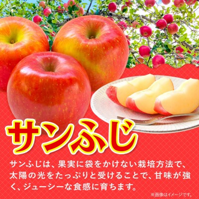 りんご 1月発送 サンふじ・王林 +文字絵入りりんご1個 約5kg|24_hkb-130501d