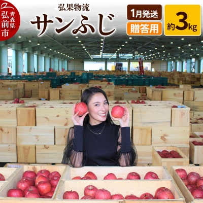 りんご 1月発送 サンふじ 約3kg|24_hkb-140301b