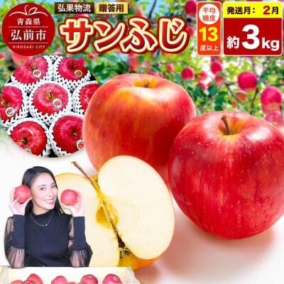 りんご サンふじ 約3kg|24_hkb-140301c