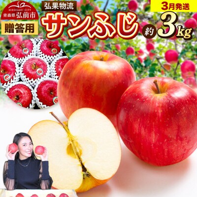 りんご 3月発送 サンふじ 約3kg|24_hkb-140301d
