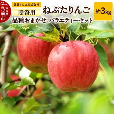 ねぷたりんご バラエティーセット【贈答用】3kg【品種おまかせ】先行受付|24_hsr-020301