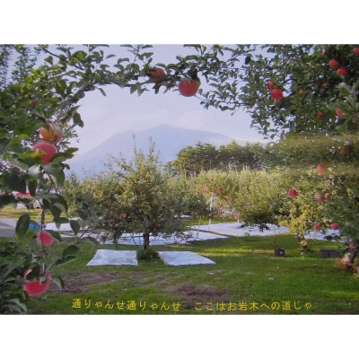 りんご 味のぴかいちセット シナノスイート・ジュース|24_ikr-040101