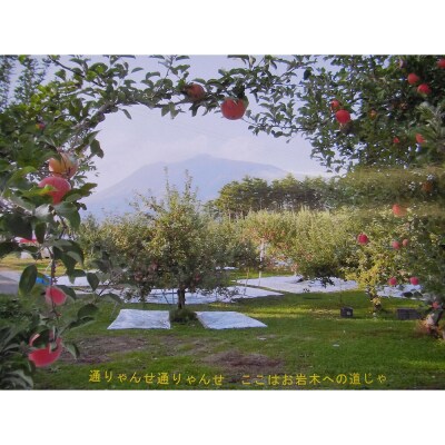 りんご 味のぴかいちセット シナノスイート・ジュース|24_ikr-040101