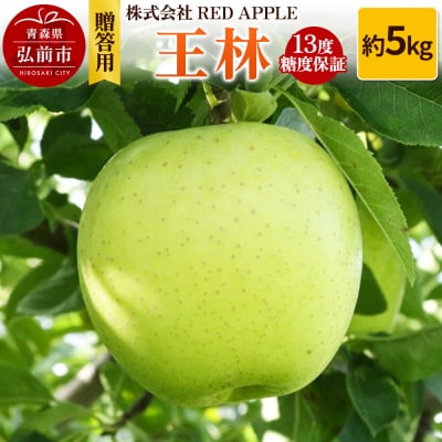 【25年12月発送】りんご 13度糖度保証【贈答用】王林 約5kg|24_rap-030501
