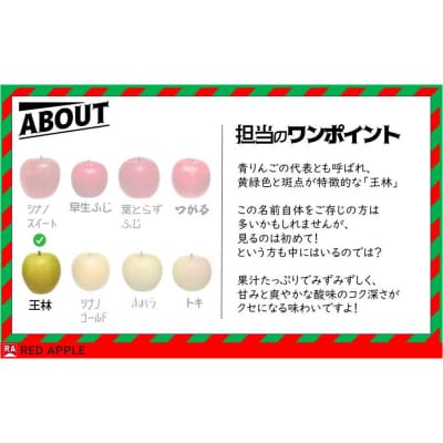 【25年12月発送】りんご 13度糖度保証【贈答用】王林 約5kg|24_rap-030501