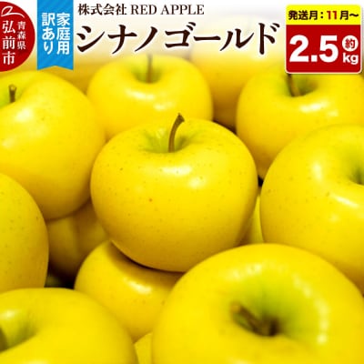 りんご【訳あり】家庭用 シナノゴールド 約2.5kg|24_rap-070201